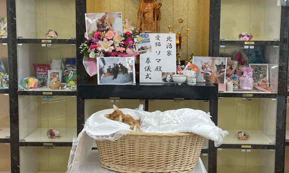 セレモニー風景