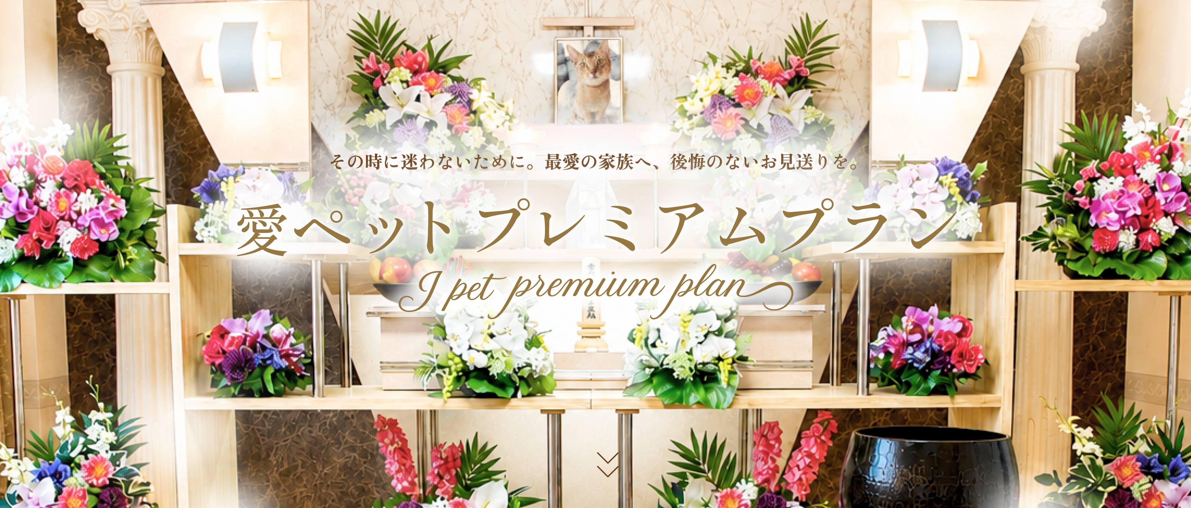 その時に迷わないために。最愛の家族へ、後悔のないお見送りを。愛ペット プレミアムプラン